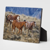 Plaque Photo Chevaux errant dans les collines (Côté)