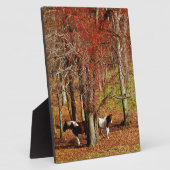 Plaque Photo Chevaux jumeaux Brown et blancs (Côté)