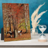 Plaque Photo Chevaux jumeaux Brown et blancs (Côté)