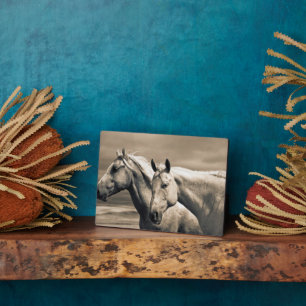 Plaque Photo Chevaux Quarter Horses dans la Prairie Canadienne
