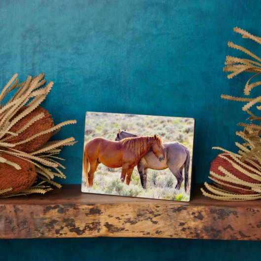 Plaque Photo Chevaux sauvages (Côté)