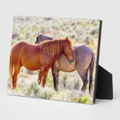 Plaque Photo Chevaux sauvages (Côté)