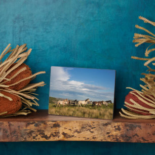 Plaque Photo Chevaux sauvages dans le parc national Theodore Ro