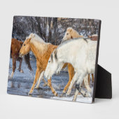 Plaque Photo Chevaux traversant le ruisseau (Côté)