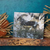 Plaque Photo Chèvre ou chamois, peinture rocheuse dans la chamb (Côté)