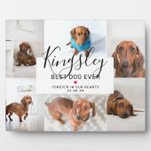 Plaque Photo Chic Meilleur Chien de Tous les Temps | Collage de (Devant)