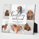 Plaque Photo Chic Meilleur Chien de Tous les Temps | Collage de (Côté)