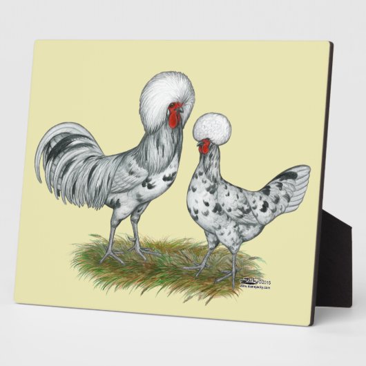 Plaque Photo Chickens de Polish (Côté)