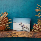 Plaque Photo Chien À La Plage (Côté)