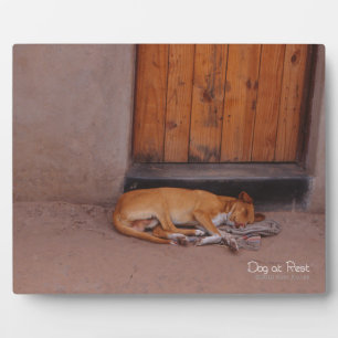 Plaque Photo Chien au repos