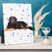 Plaque Photo Chien aux Coeurs pourpres en chute (Côté)