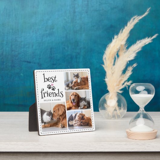 Plaque Photo Chien Chat Meilleurs Amis Empreintes 4 Photos Pers (Insitu)