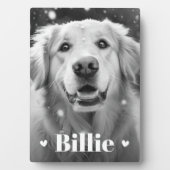 Plaque Photo Chien chat nom coeurs (Devant)