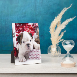 Plaque Photo Chien-chien anglais mignon Noël drôle