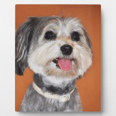 Plaque Photo Chien de Magyar Vizsla (Devant)