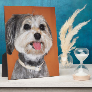 Plaque Photo Chien de Magyar Vizsla