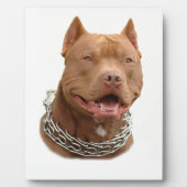 Plaque Photo Chien de Pitbull (Devant)