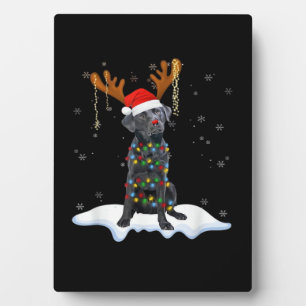 Plaque Photo Chien en pyjama de Noël à lumières en forme d'arbr