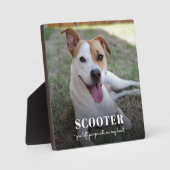 Plaque Photo Chien Mémorial Empreintes De Pattes D (Recto)