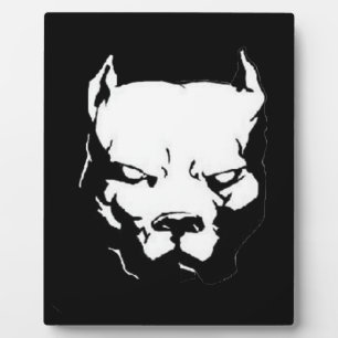 Plaque Photo Chien Pitbull en colère