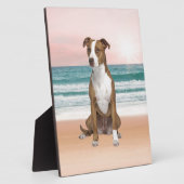 Plaque Photo Chien Pitbull mignon assis sur la plage avec couch (Côté)