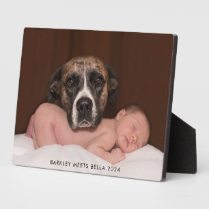 Plaque Photo Chien rencontre un nouveau bébé