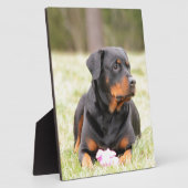 Plaque Photo Chien Rottweiler (Côté)