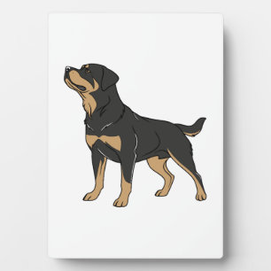 Plaque Photo Chien Rottweiler, Chien Rottweiler Debout