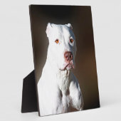 Plaque Photo Chien Secouru blanc américain Pitbull Terrier (Côté)
