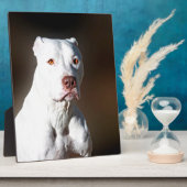 Plaque Photo Chien Secouru blanc américain Pitbull Terrier (Côté)