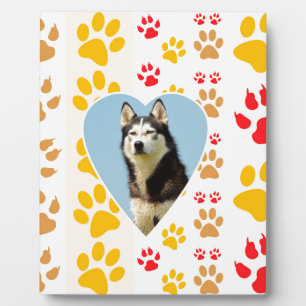 Plaque Photo Chien sibérien - pattes cardiaques Imprimer