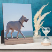 Plaque Photo Chien sur la plage (Côté)