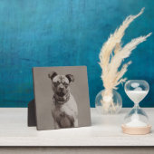 Plaque Photo Chien vintage (Insitu)
