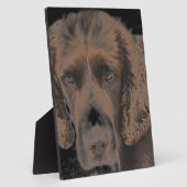 Plaque Photo Chiens Springer anglais (Côté)