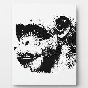 Plaque Photo Chimpanzé noir et blanc