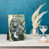 PLAQUE PHOTO CHIMPANZEE CUTE (Côté)