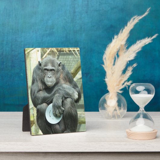 PLAQUE PHOTO CHIMPANZEE CUTE (Côté)