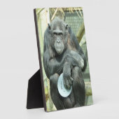 PLAQUE PHOTO CHIMPANZEE CUTE (Côté)