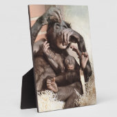 PLAQUE PHOTO CHIMPANZÉS (Côté)