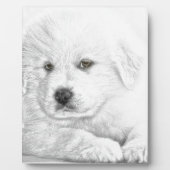 Plaque Photo Chiot blanc mignon (Devant)