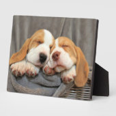 Plaque Photo Chiots endormis (Côté)