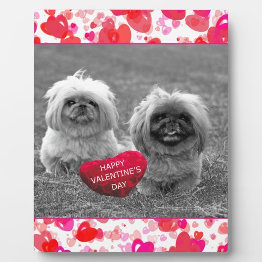Plaque Photo Chiots Pekingese souhaitant Heureuse Sainte-Valent (Devant)