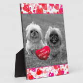 Plaque Photo Chiots Pekingese souhaitant Heureuse Sainte-Valent (Côté)