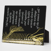 Plaque Photo Chiropratique Système nerveux Quote Easel (Côté)