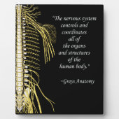 Plaque Photo Chiropratique Système nerveux Quote Easel (Devant)