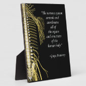 Plaque Photo Chiropratique Système nerveux Quote Easel (Côté)