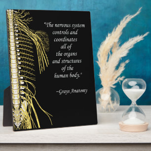 Plaque Photo Chiropratique Système nerveux Quote Easel