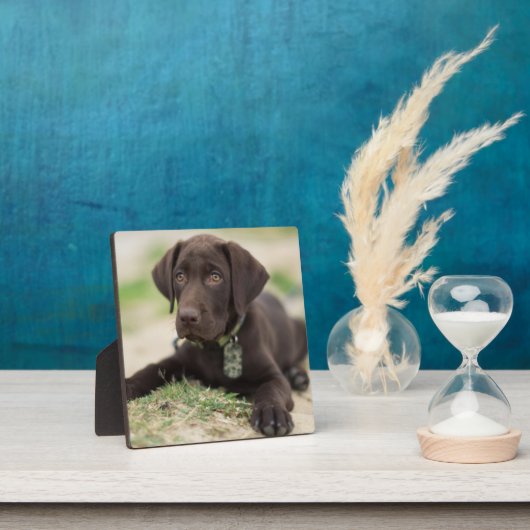 Plaque Photo Chocolat blanc (Insitu)