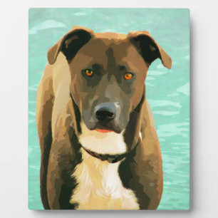 Plaque Photo Chocolat Lab Pitbull Mix Pitador Labrabull