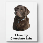 Plaque Photo Chocolate Labrador dog photo (Devant)